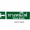 กล่องไฟฉุกเฉินแบบกล่องยาว รุ่น EXB 421-60 ED แบบหน้าเดียว